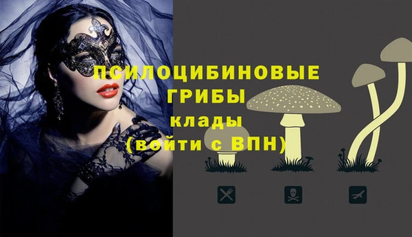 прущий лед Алексин